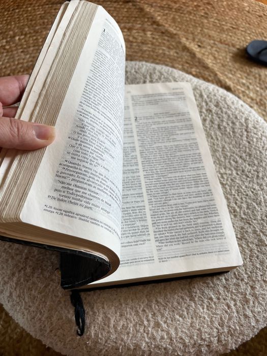 Bíblia Sagrada Bilíngue (Português/Inglês - NVI/NIV)