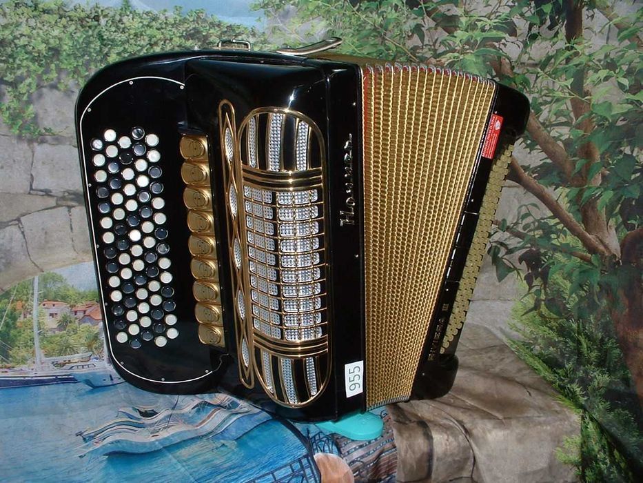 Promoção de Acordeões de concertinas