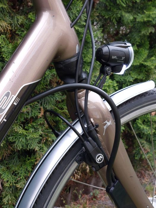Gazelle elektryczna męska Ultimate Black Edition