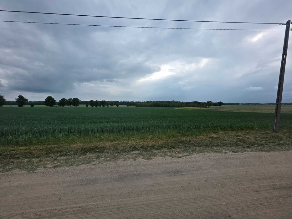 Działka rolna z warunkami zabudowy
