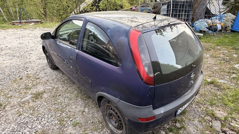 Sprzedam  Opla corse