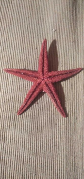 Морская звезда.  25 см.
