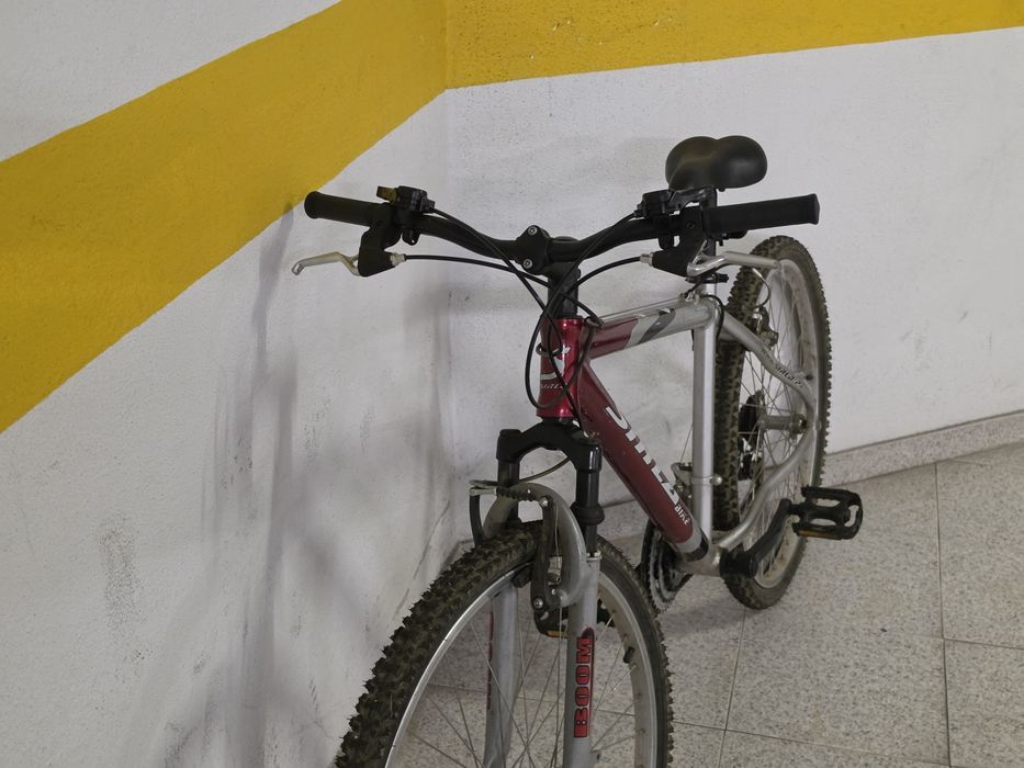 Bicicleta de montanha
