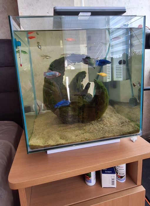 Продам красивий акваріум 30л з рибками та обладнанням!