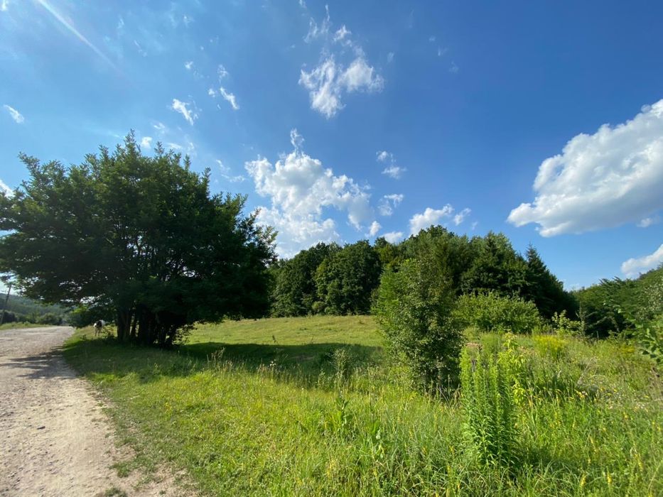 Документи готові для продажу