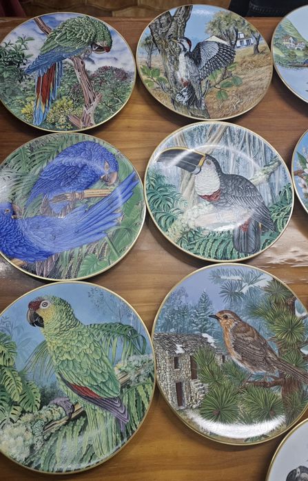 Pratos Joias Vivas da Floresta Tropical - Rui França