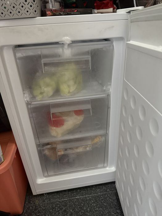 Arca congeladora jocel