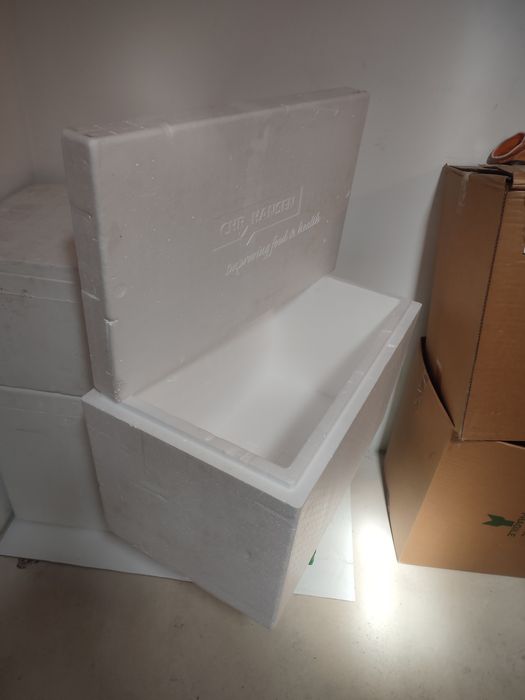 Caixas  isotérmicas vários tamanhos como novas