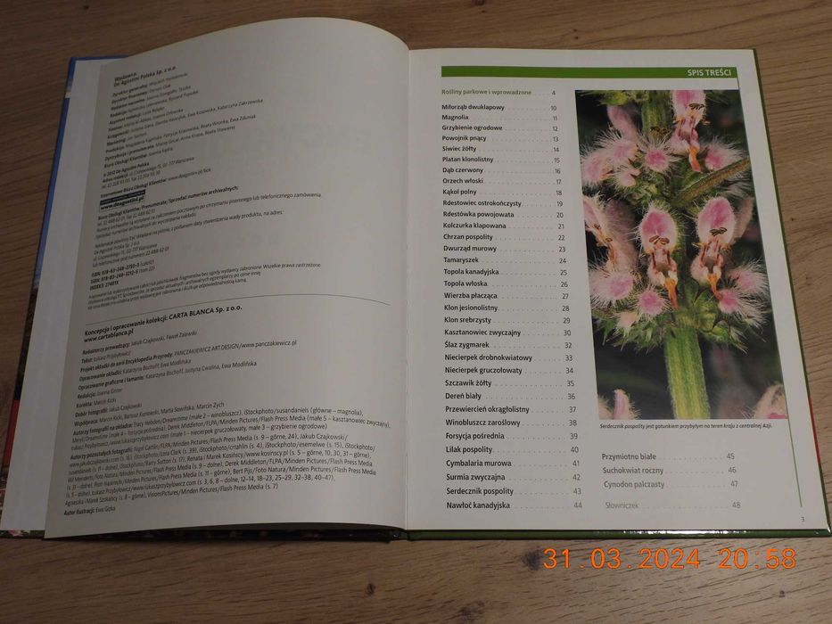 Encyklopedia Przyrody - Tom 22 Rośliny - parkowe i wprowadzone