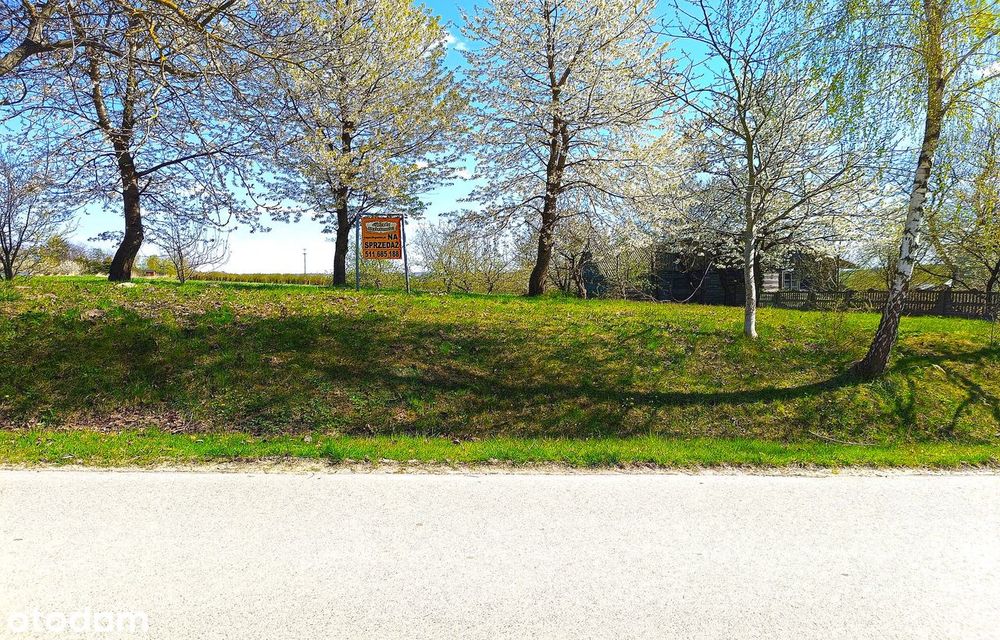 Roztocze - przestrzeń, światło, cisza - Widok 5