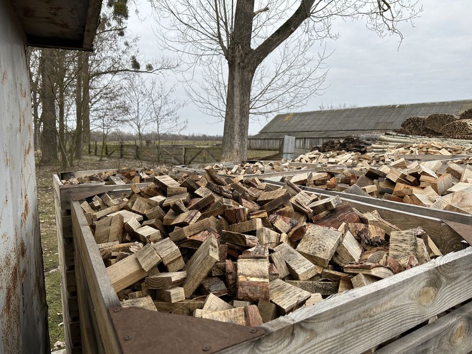 Дрова обрізки береза вільха сосна дуб граб ясен