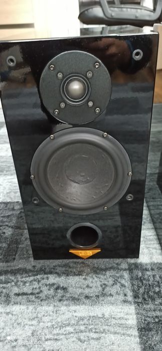 Kolumny głośnikowe usher P-701 Piano Black