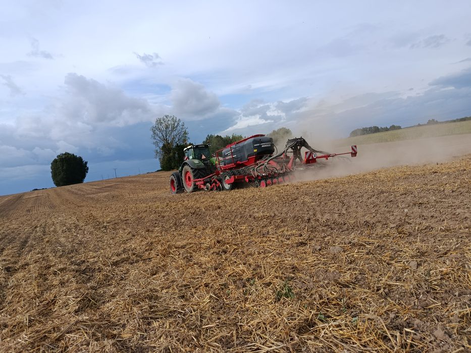 Siew zbóż strip till bezorkowo