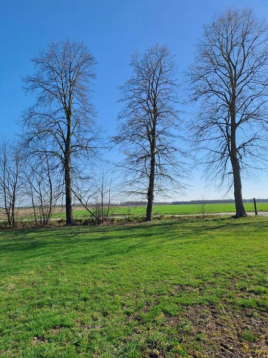 Działka 51 arów z domkiem i stodołą - Widok 3