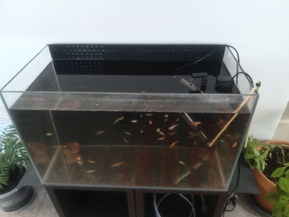 Vendo aquário em excelente estado