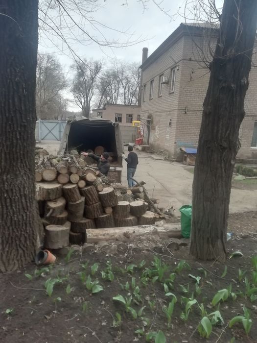 Продаю Дрова-рубанi 30см Акация Берест Ясень Сосна
