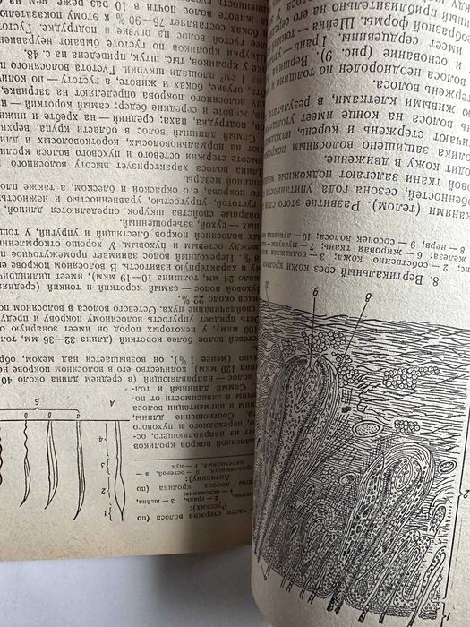 " Выделка овчин и меха "