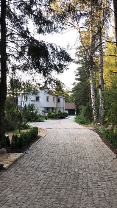 Wynajem domu w Głogowie Małopolskim – leśna okolica