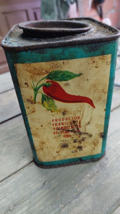 Antiguidades e velherias