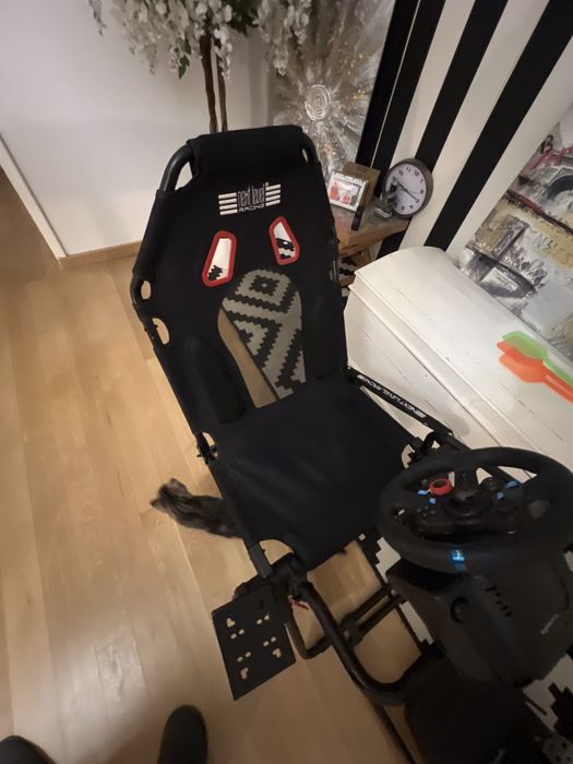 Next level +g29 playstation /pc