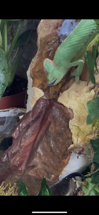 Terrarium z wodospadem dł:60 szer:40 wys:90(kameleon,gekon)