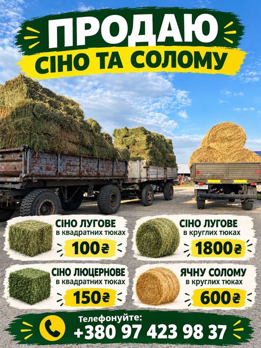 Продам сіно та солому