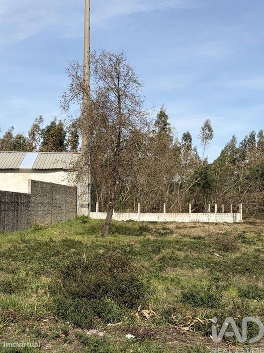 Terreno em Marinha Grande