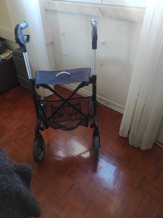 Andarilho  ( Em excelente estado )