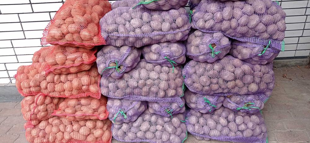 Продам картоплю домашню Біллароза