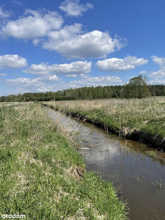 Działka w sercu natury , z dostępem do rzeki | Rudniki k. Koniecpola - Widok 3