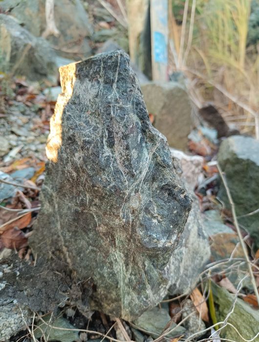 Kamień do terrarium akwarium