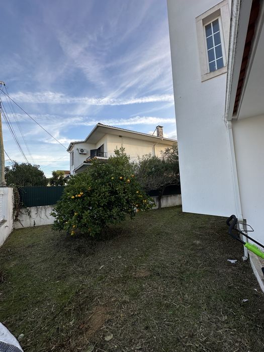 Serviço de Jardinagem, Desmatação e Limpeza de Terrenos