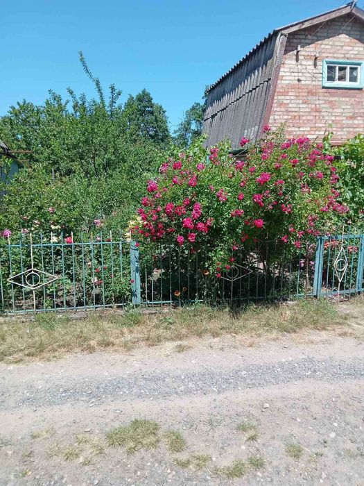 Продається дача Центр-Міський район біля Макулану