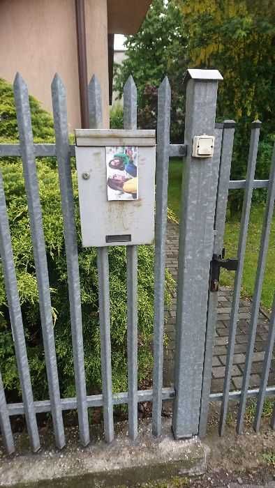 Profesjonalna kampania reklamowa