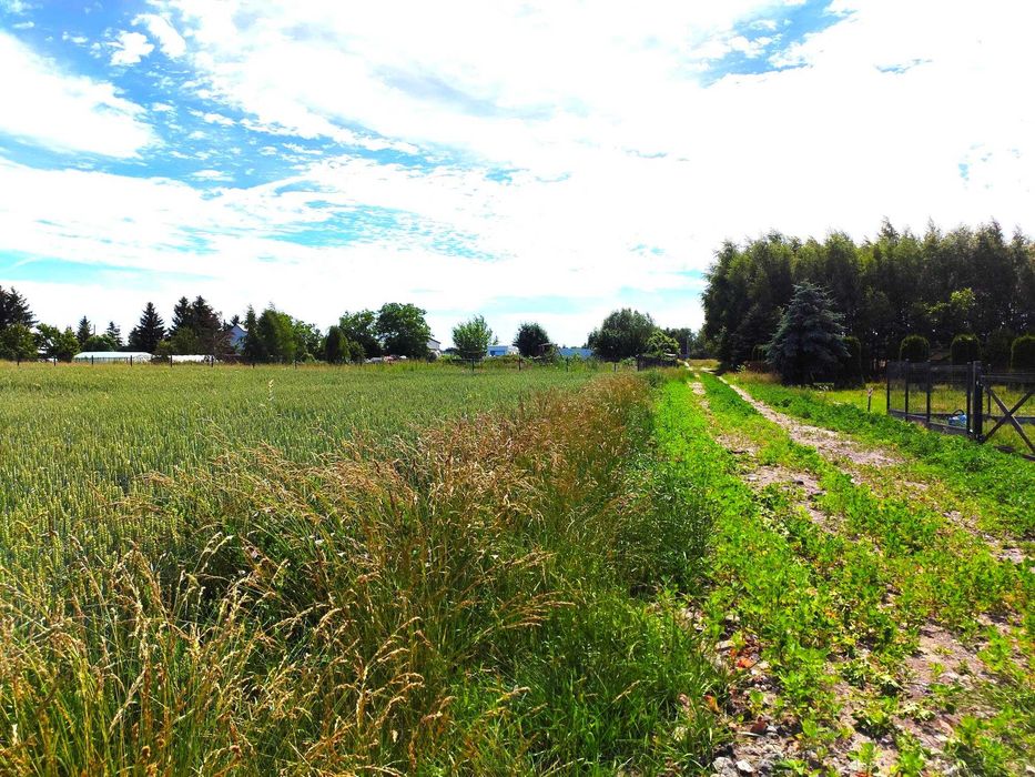 Działka 50 m od jeziora Ostrowickiego, pod budowę 4 domów. Widok na jezioro - Widok 2