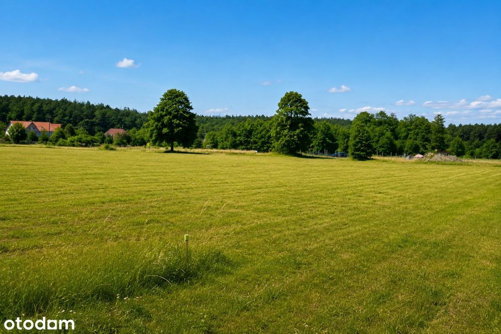 Działki budowlane -gm. Nowa Wieś Wielka