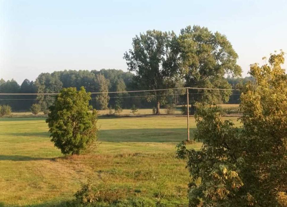 Mieszkanie do wynajęcia.