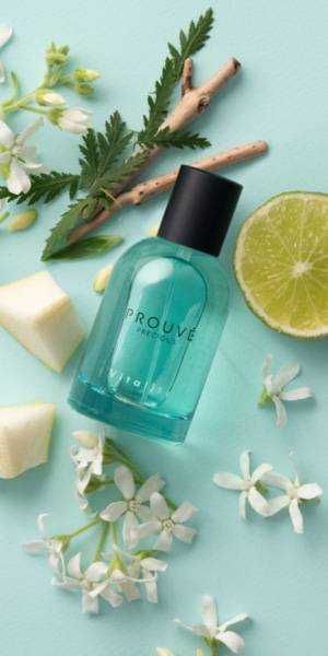 Perfume precious 506 Prouvé  ( vitalidade)