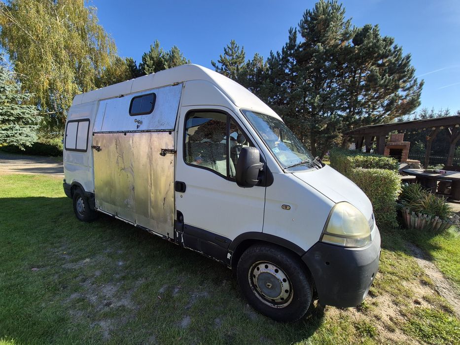 Renault Master II do przewozu żywych zwierząt koniowóz żywiec bydło