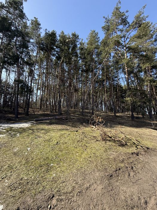 Продаж будинку с.Геронимівка