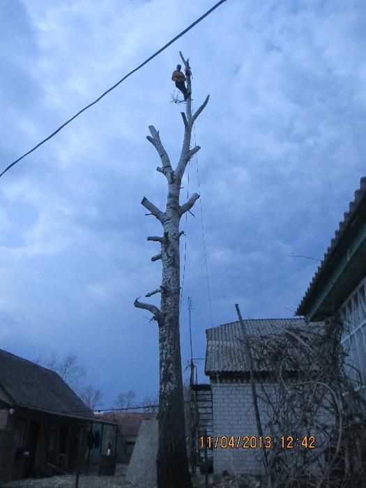 Спил аварійних дерев будь-якої складностi