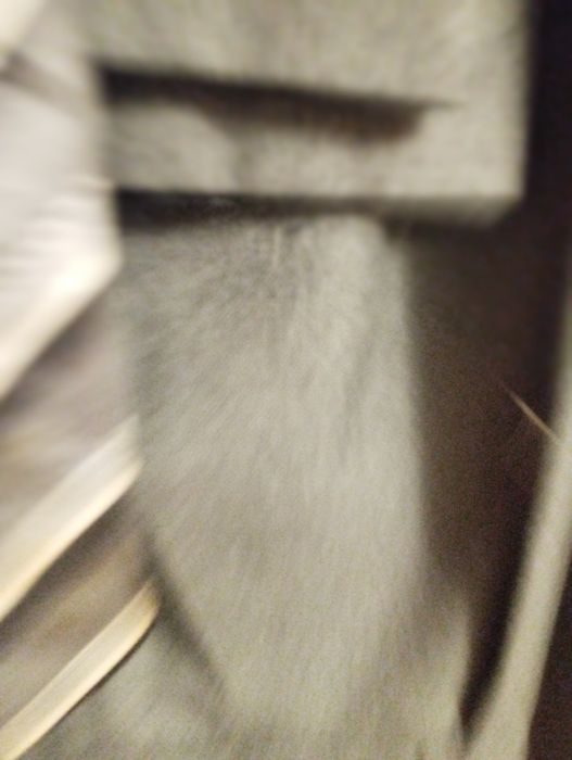 Чолочий класичний одяг.