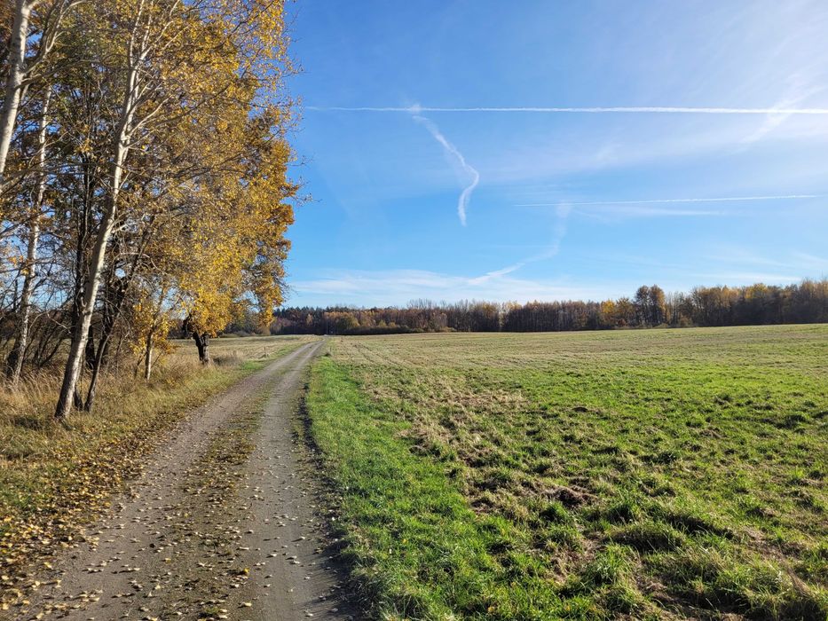 Urokliwa działka budowlana w malowniczej okolicy, 3km od Jeziora Woświn - Widok 4