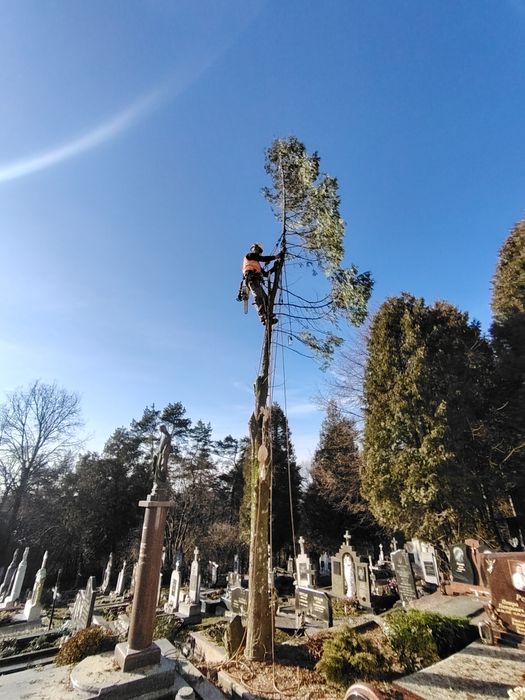 Рубаю дрова дровоколом