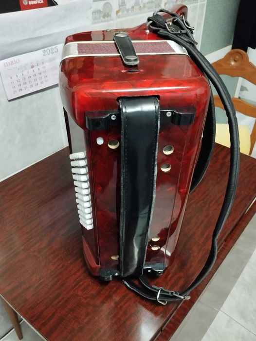 Acordeão Sonantti(pouco uso)