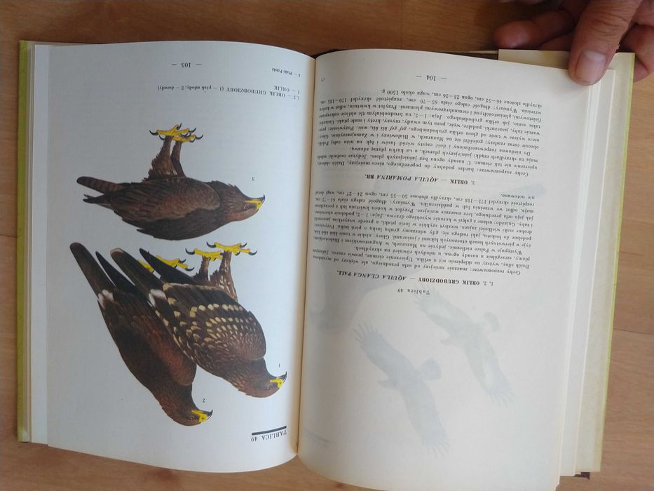 Atlas Ptaki Polski Jan Sokołowski