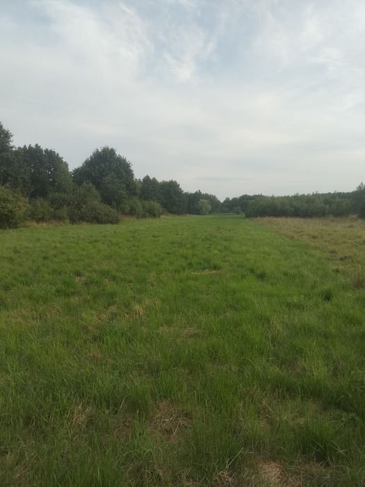 Działka rolno budowlana