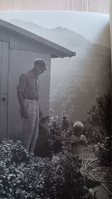 Henry Miller, Viragem aos Oitenta e Viagem a Uma Terra Antiga