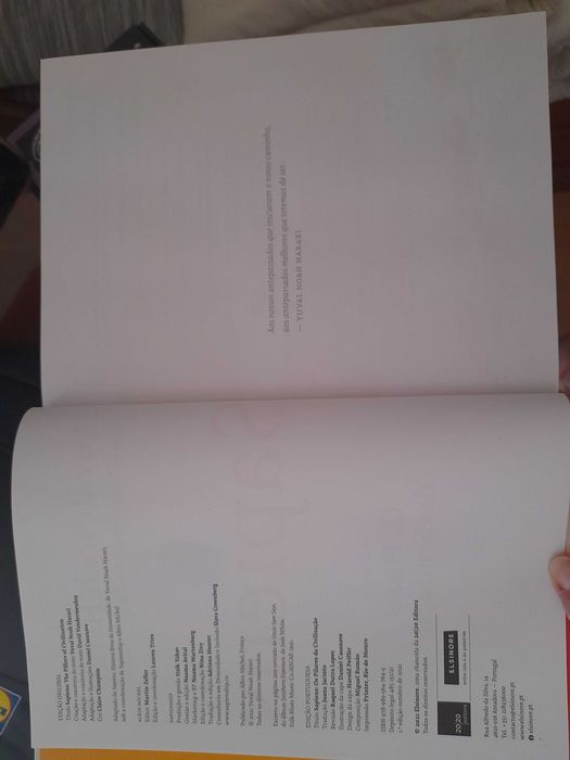 Sapiens - Os Pilares da Civilização - Novela Gráfica Vol. 2