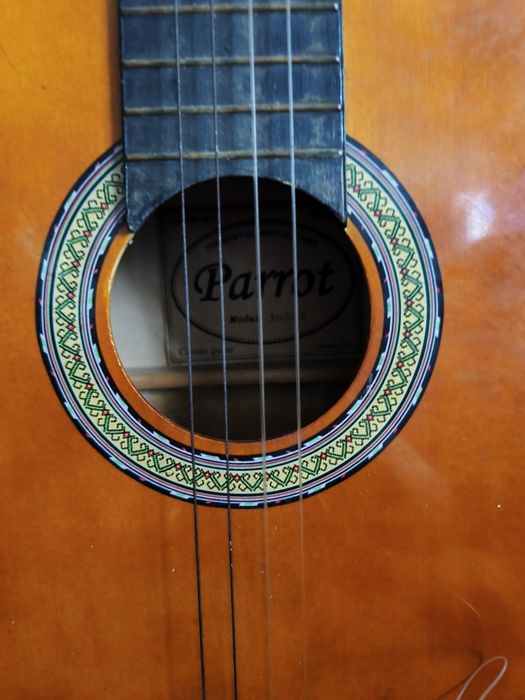 Guitarra clássica parrot
